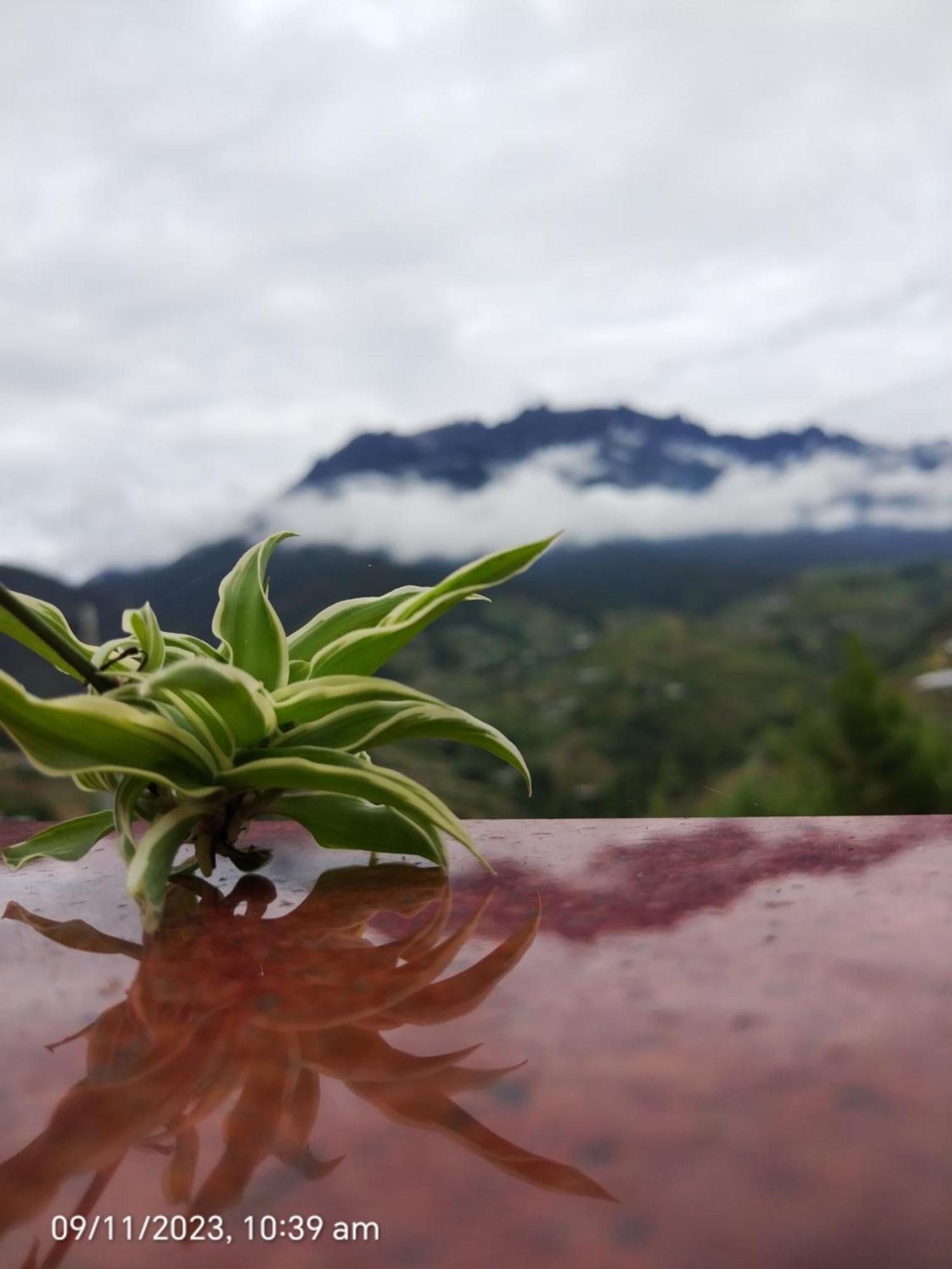 Highland Homestay Kundasang Ranau Εξωτερικό φωτογραφία